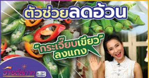 ตัวช่วยลดอ้วน! กระเจี๊ยบเขียวลงแกง